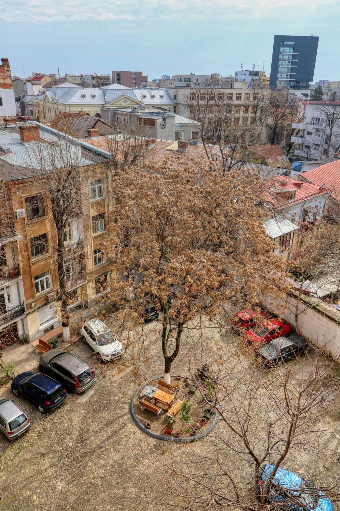 Neo-Classic Design Near Downtown Βουκουρέστι Εξωτερικό φωτογραφία